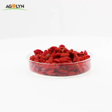 AGOLYN Wholesale Chinese Dried organic Red Gojiberry